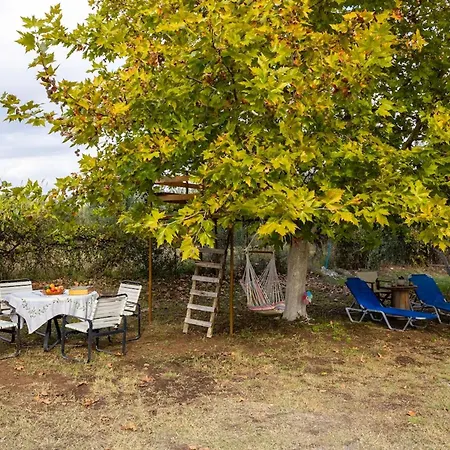 Apartamento Sunny Two - Cozy Garden Escape