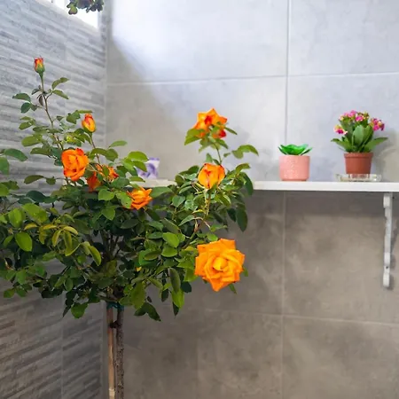 Sunny Two - Cozy Garden Escape Apartamento *