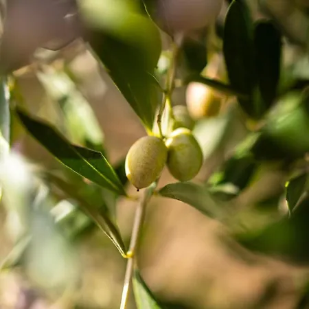 Apartament Sunny Two - Cozy Garden Escape *