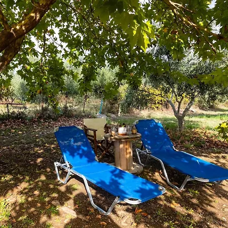 Sunny Two - Cozy Garden Escape *