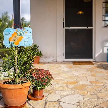 Sunny Two - Cozy Garden Escape Petalídhion