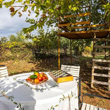 Sunny Two - Cozy Garden Escape